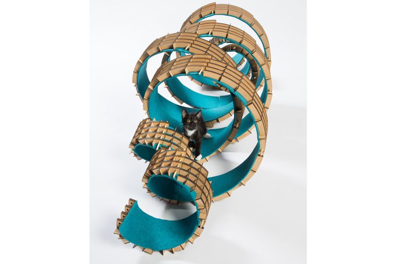 a cat sits inside a spiraling structure