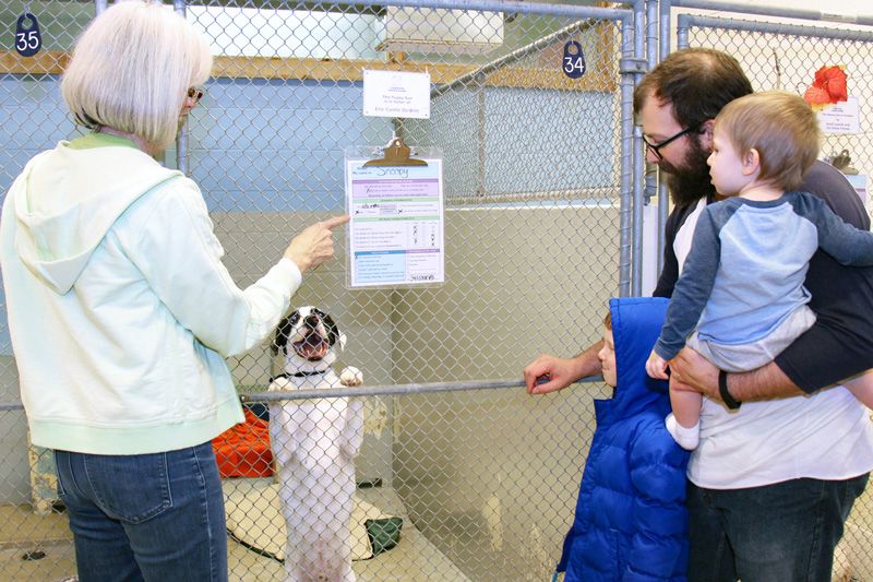 a man and two small children meet a shelter dog while a shelter worker looks on
