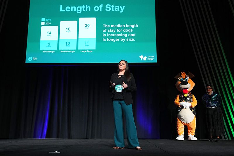a person on stage persenting data on a large slide