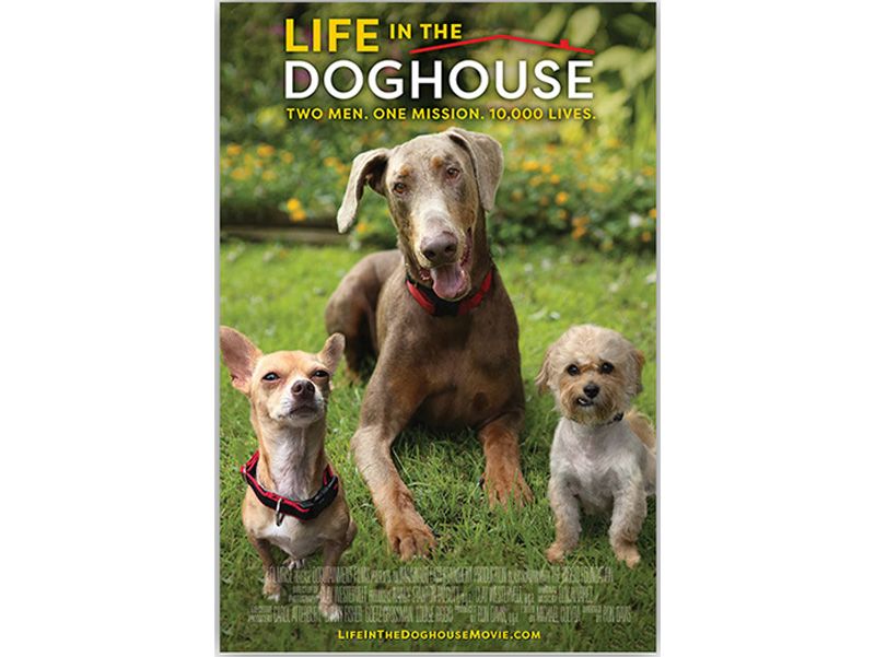 Life in the Doghouse movie poster