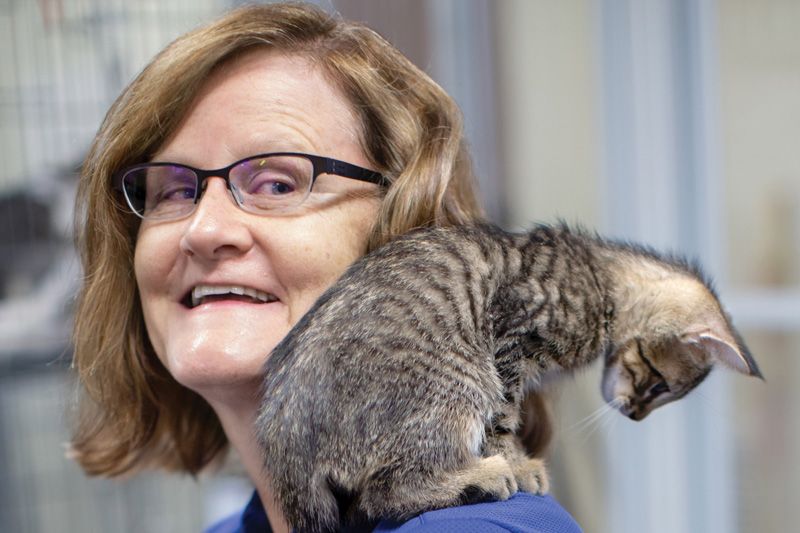 a kitten perches on a woman's shoulder