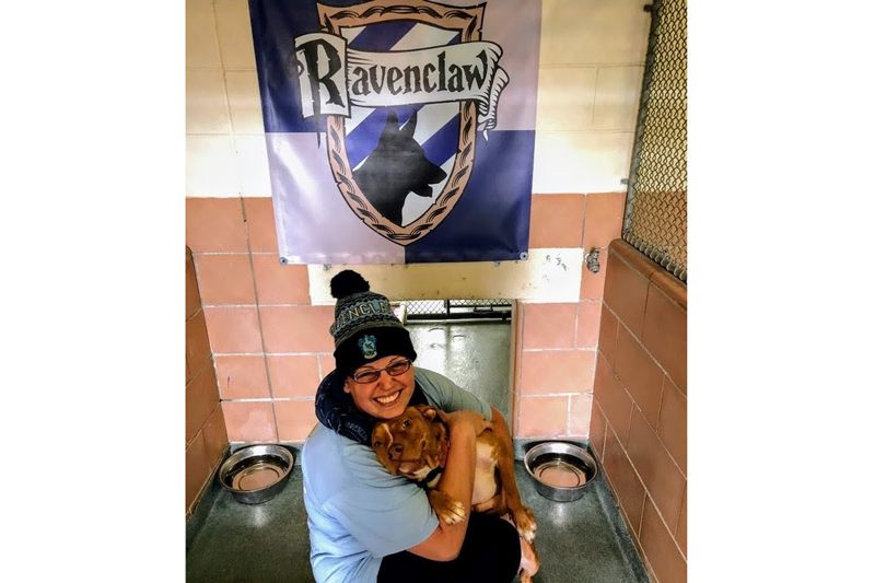 a woman hugs a dog beneath a Ravenclaw banner