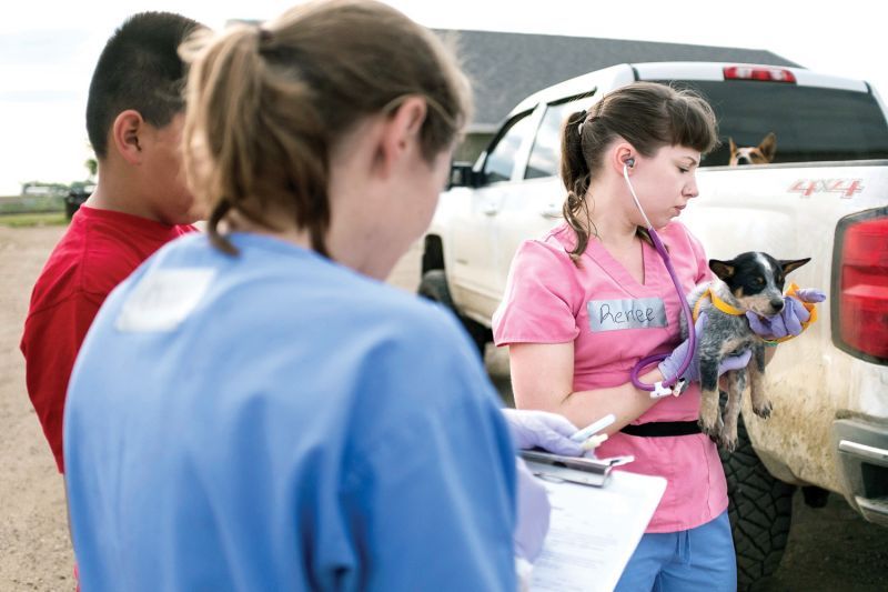 a woman examines a dog while another makes notes on a clipboard