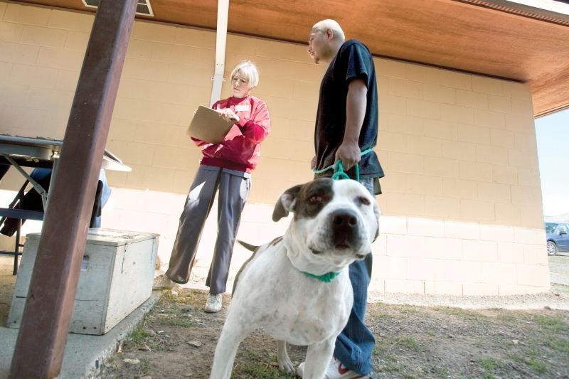 a woman fills out something on a clipboard while a man and his dog look on