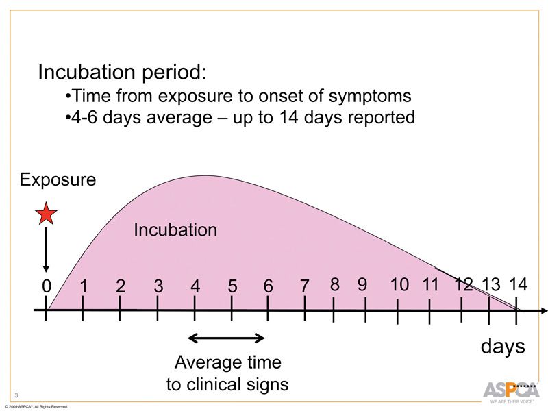 graph of the incubation period of canine parvovirus