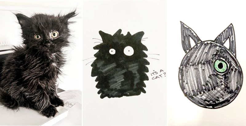 collage of a black kitten and two drawings