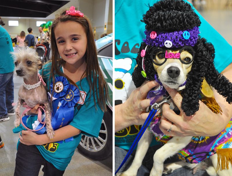 collage of children and dogs in costumes