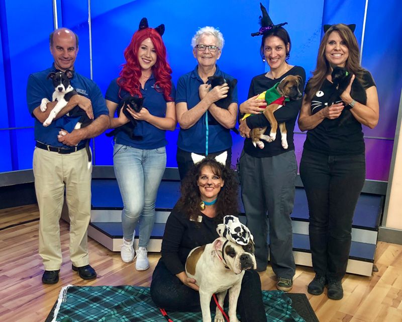 a group of people and pets in halloween costumes