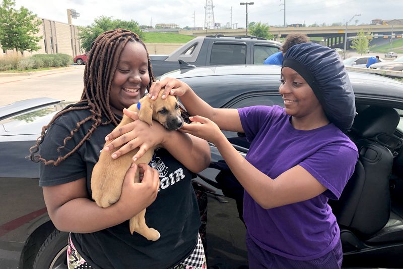 one woman holds a puppy while another examines its head