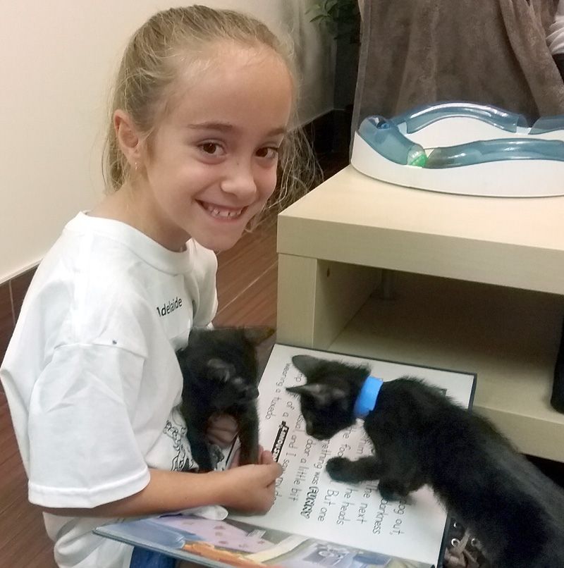 A young girl with 2 kittens and a book in her lap