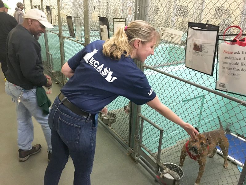 A woman reaches her hand out to a dog in a kennel