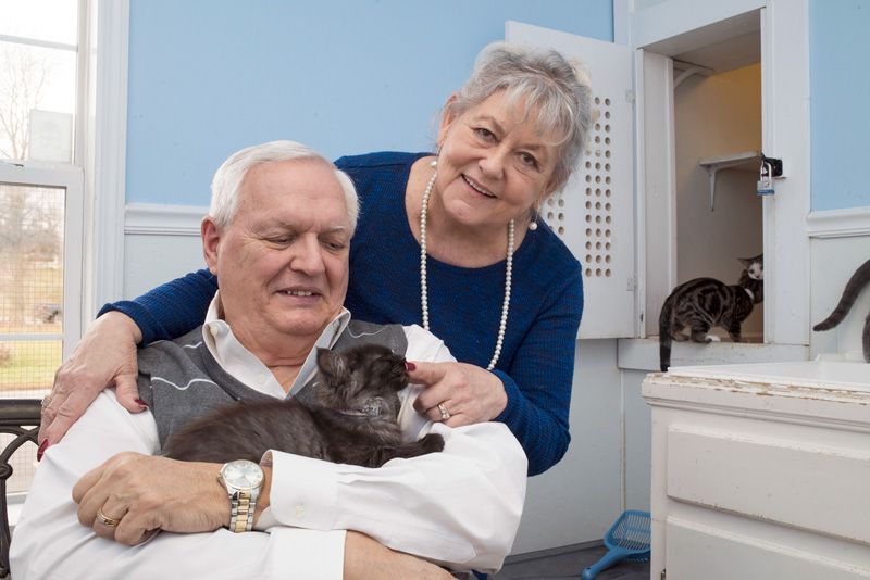 A senior couple hold a cat
