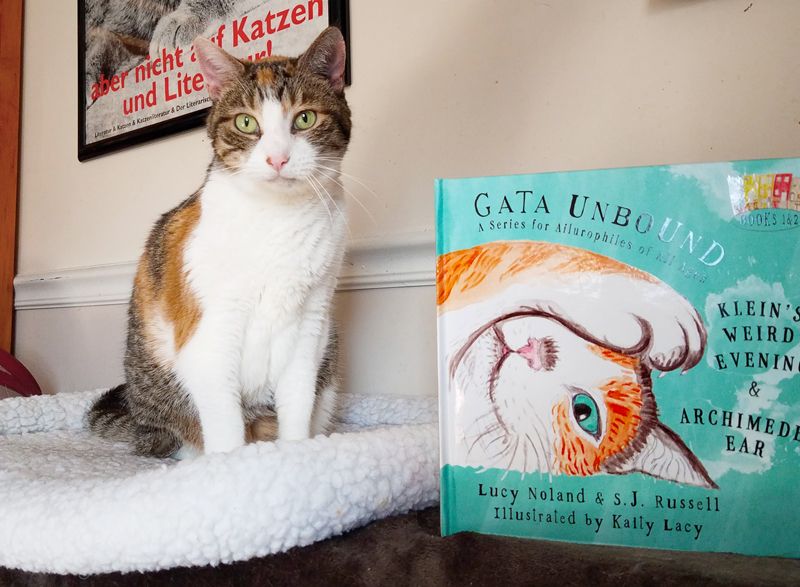 a cat posing alongside the book Gata Unbound