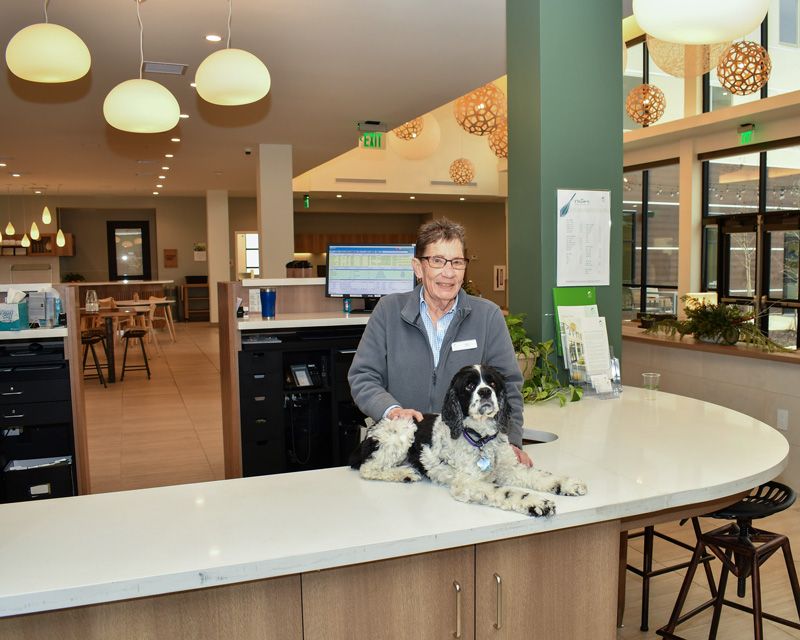 a woman stands at the front desk of a hotel with her foster dog