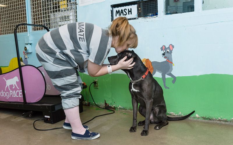 Image of a woman in a prison jumpsuit kisses a dog on the head