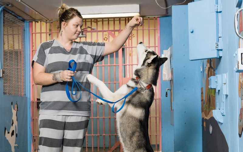 a woman in a prison jumpsuit holds up a treat for a dog
