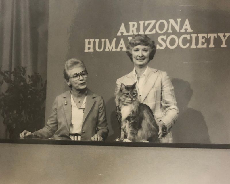 black and white photo of two women presenting a cat on tv