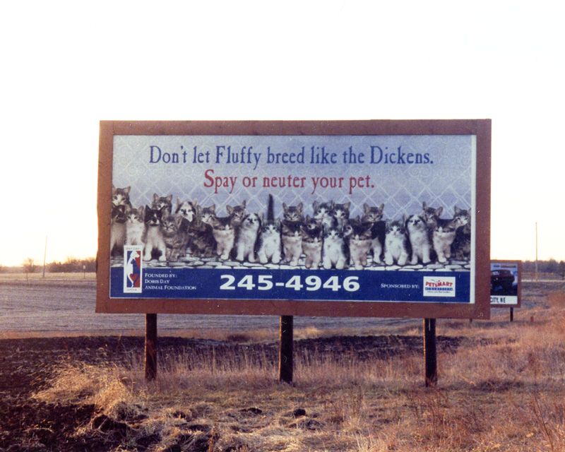 a roadside billboard promoting world spay day