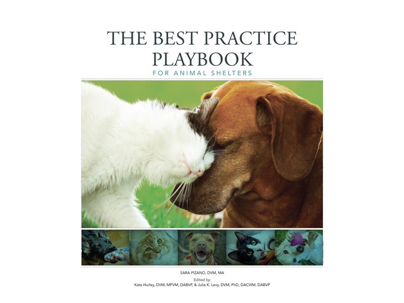 cover of the best practice playbook