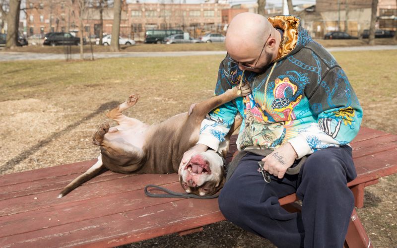 A man sitting on a bench petting his dog's belly