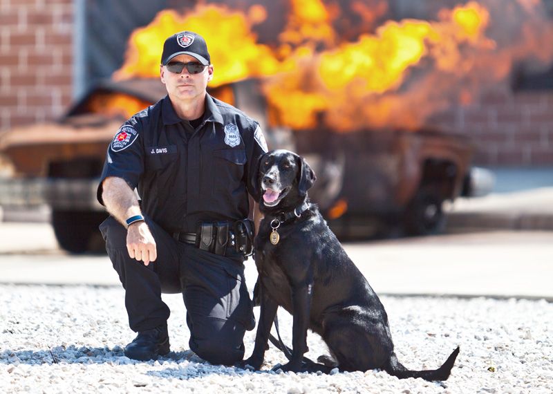 a police officer and a dog pose in front of a burning car