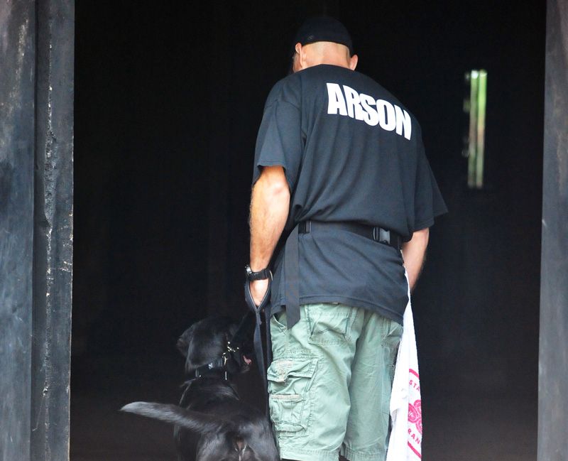 an arson officer and his dog enter a building