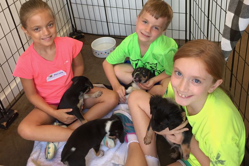 a group of children holding puppies