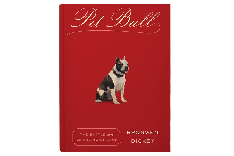 Cover of the Pit Bull book