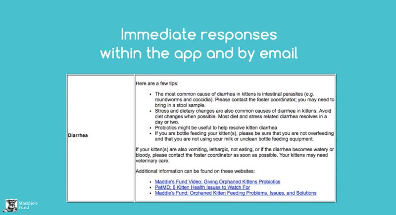 screenshot of Maddie's Fund app email response