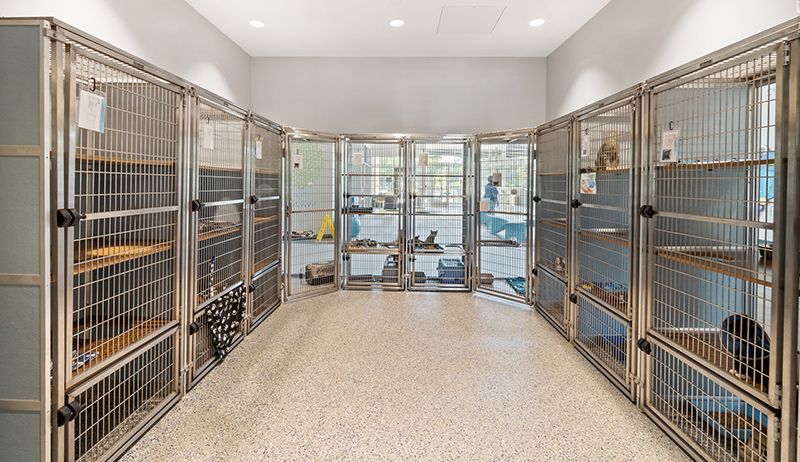 Large cages for animal housing at the Humane Society of Charlotte.