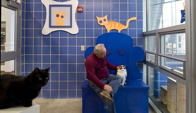 A man communes with cats at the Austin Animal Center in Texas.