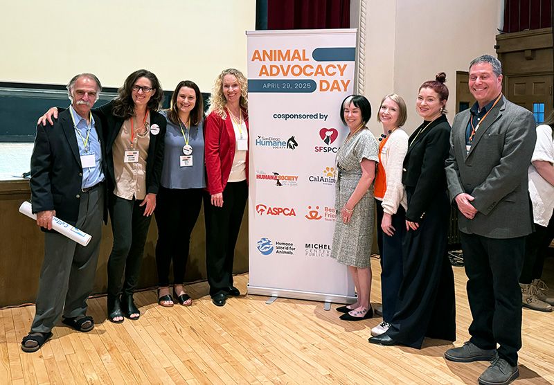 a group of people gathered by a pillar covered in organization logos