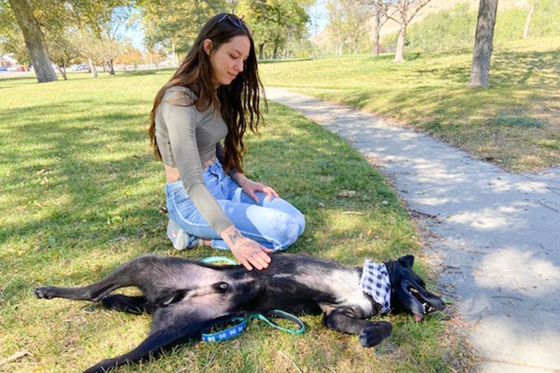a woman pets the belly of a dog sprawled in the grass