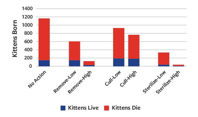 Chart showing the long-term impacts of different management strategies for reducing community cat populations, including TNR, trap and remove, episodic culling and a combination of approaches—each performed at high, medium and low intensities—and no action.
