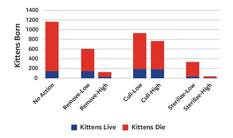 Chart showing the long-term impacts of different management strategies for reducing community cat populations, including TNR, trap and remove, episodic culling and a combination of approaches—each performed at high, medium and low intensities—and no action.