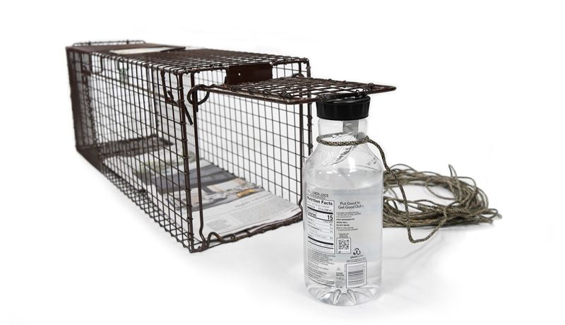 The Kitty Grabber! #cat #trap #rescue #shelterpets, By J.M. Holmes