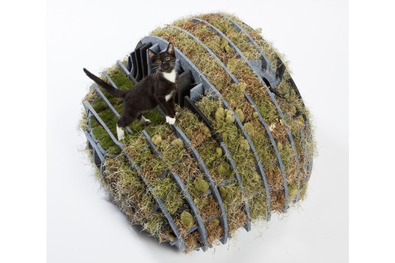 a cat sits atop a spherical structure covered with moss and grass