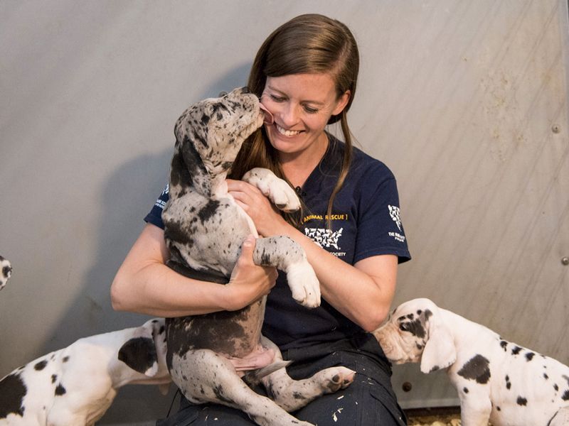 a woman cuddles a puppy