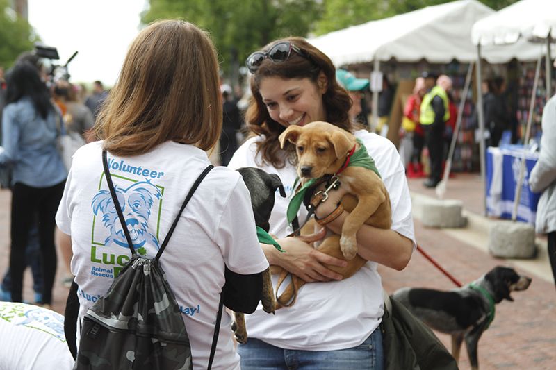 Photo of a volunteer speaking with a woman holding a puppy.