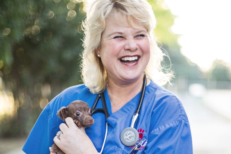 a female vet smiles while holding a tiny dog