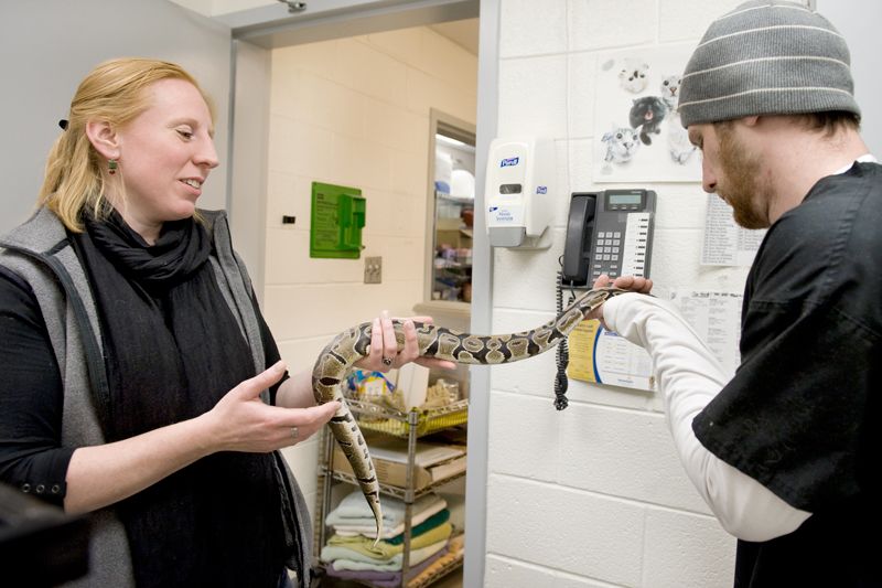 a woman and man examine a snake