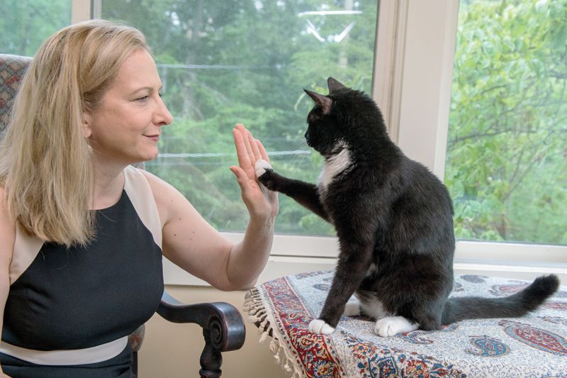 a woman high-fiving a cat
