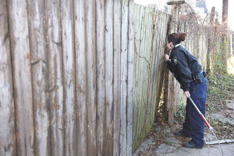 an animal control officer peering behind a tall fence