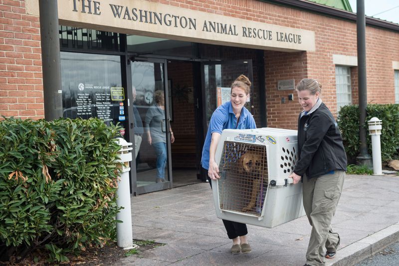 Two people move a dog in a large crate
