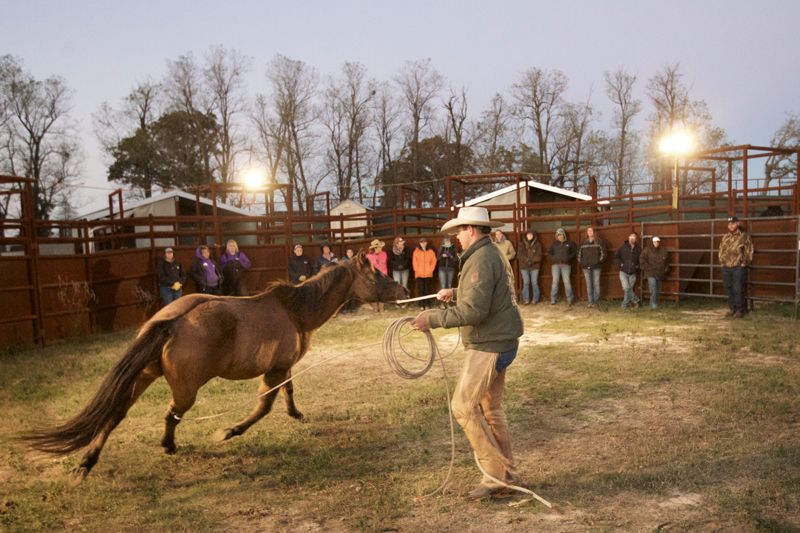 a man guides a horse while a group of people look on