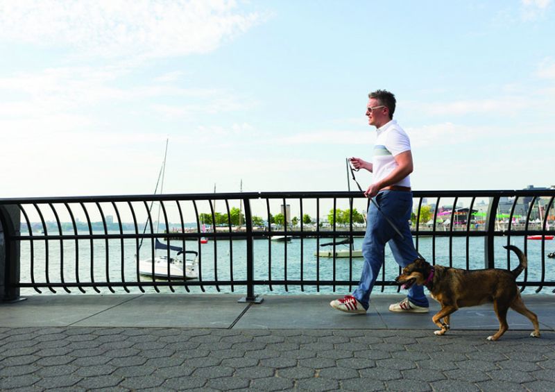 a man walks a dog along a river