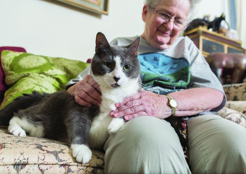 an elderly woman sits on her couch with her cat