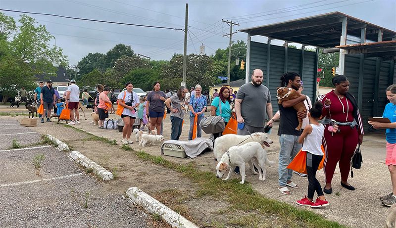 People standing in line with their pets, waiting for medical care at a community clinic.
