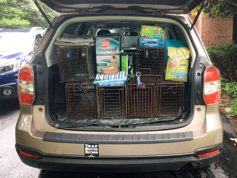 The back of a car filled with TNR supplies