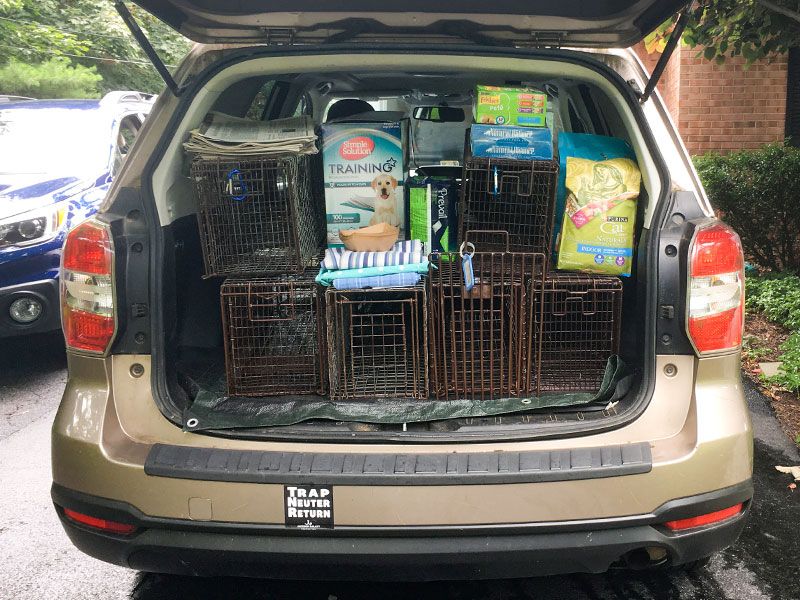 La parte trasera de un coche llena de suministros